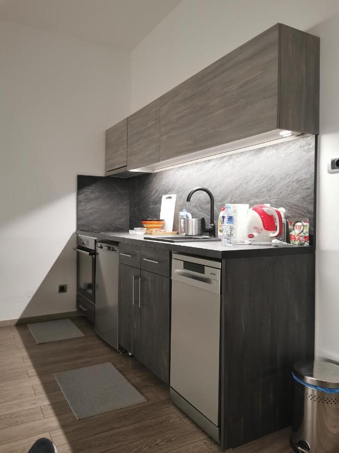 Apartman Pavlovic 1 Dedinje Exteriér fotografie